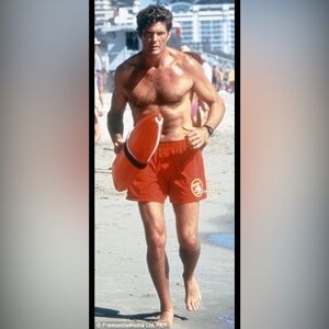 DAVID HASSELHOFF BAY WATCH LIFE SIZE CARDBOARD CUTOUT FREE SHIPPING